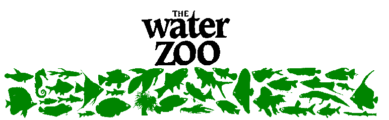 www.waterzoo.co.uk